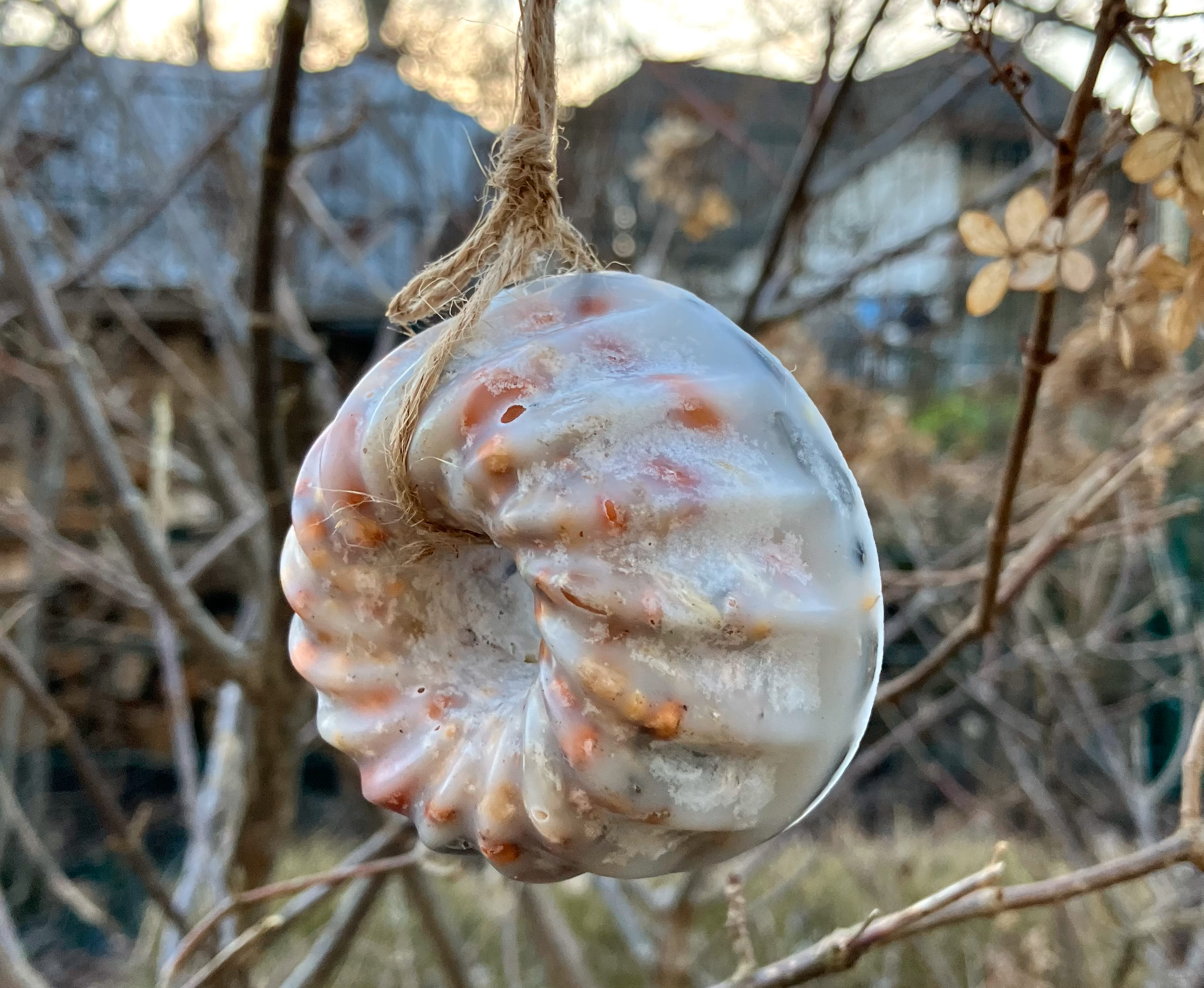 selbstgemachtes Vogelfutter