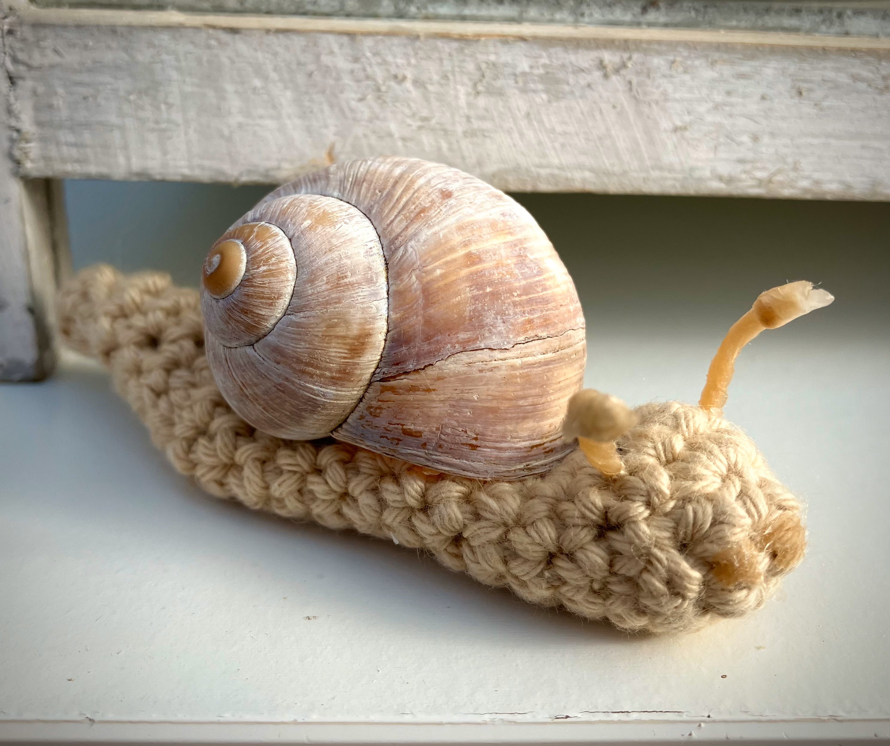 Häkelschnecken und Schneckchen aus Modelliermasse