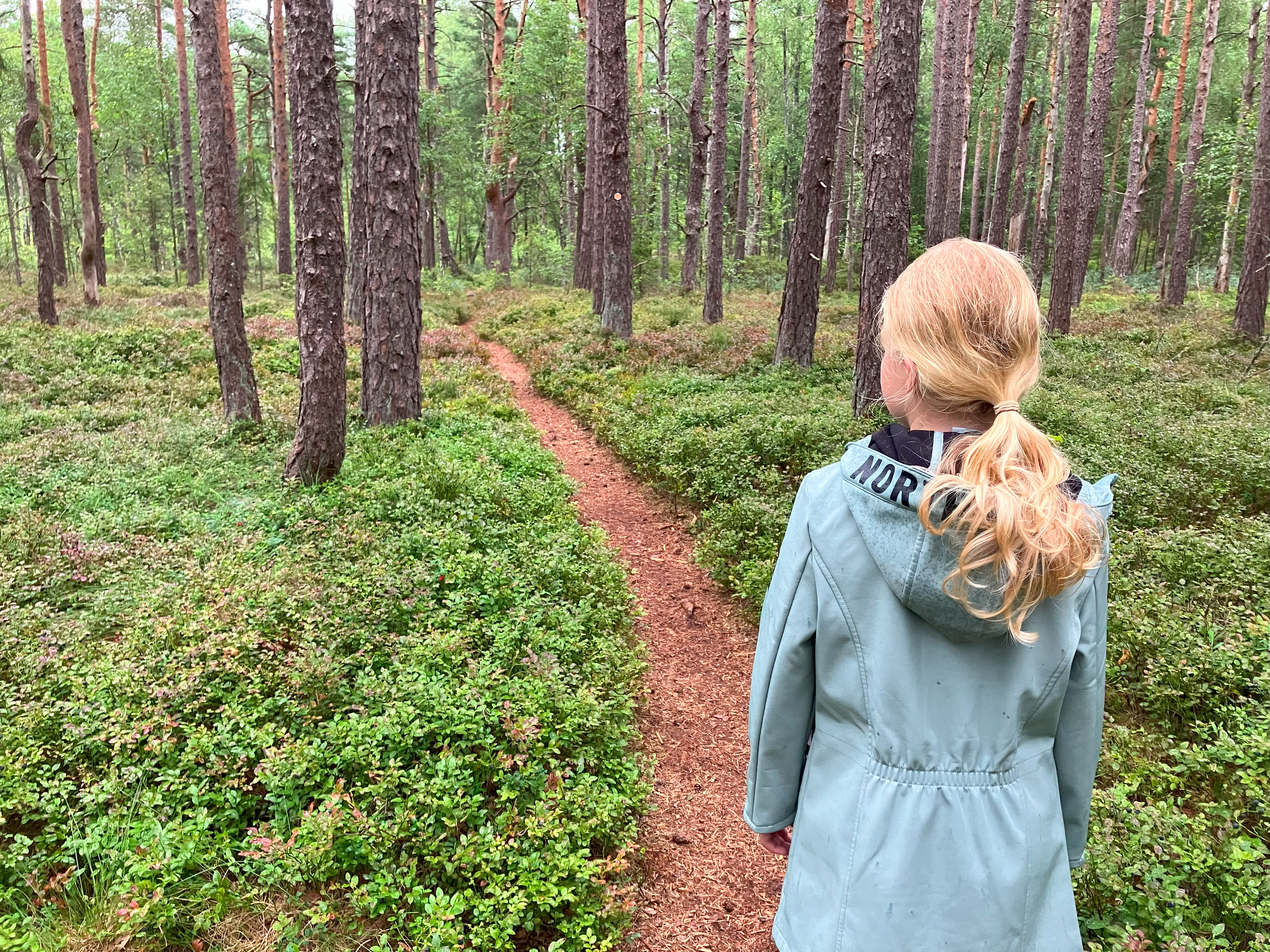 Moor in Schweden