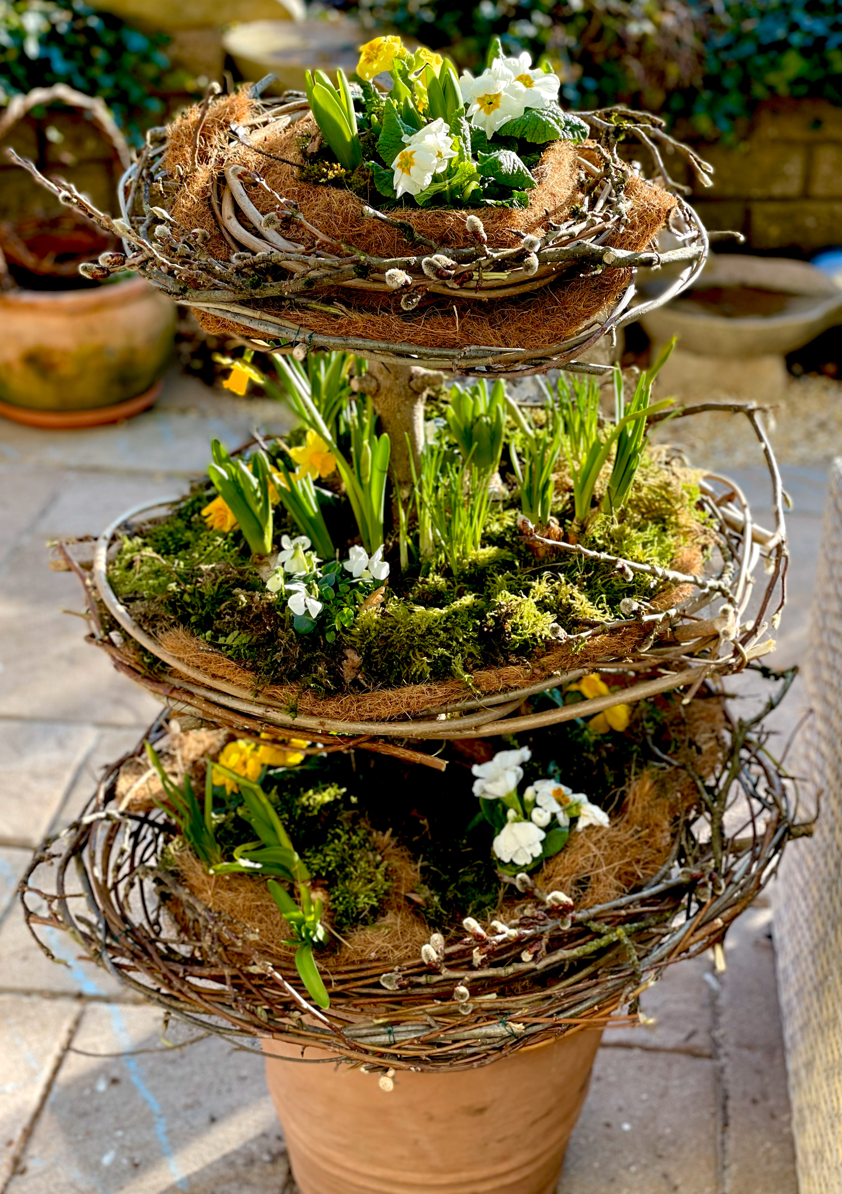 Frühblüher Garten Terrasse Nester Bepflanzung