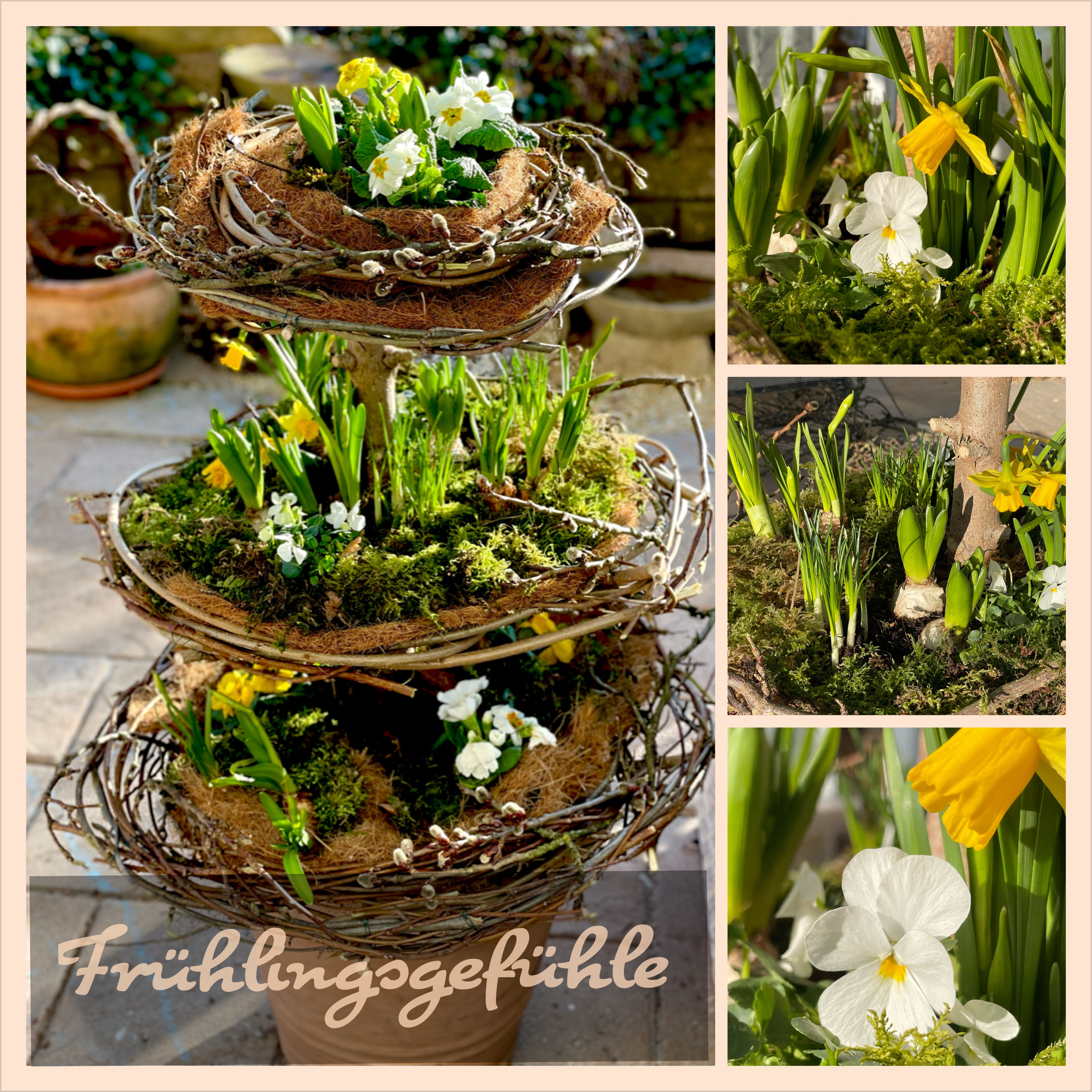 Frühblüher Garten Terrasse Nester
